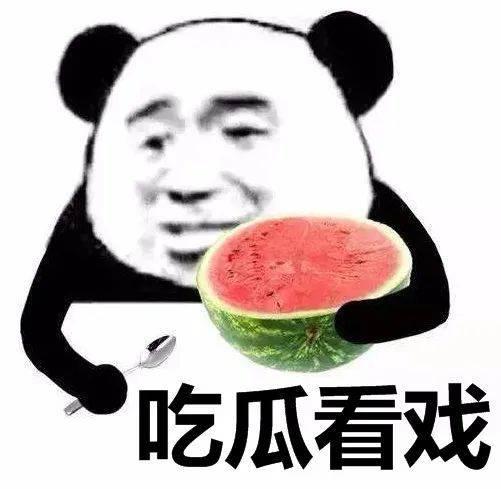 娱乐吃瓜君熊猫头